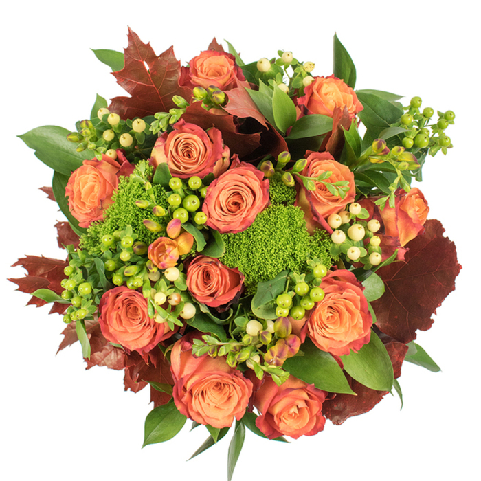 Captured from above on a stark white background, this seasonal bouquet presents a rich study of colour, texture and thoughtful composition. At its heart sit many full-blown roses, their petals unfurling from a soft, warm orange core to coral and deeper russet tones at the edges - a delicate ombré that recalls leaves changing on an Addington street in late October. Bright pockets of Hypericum berries provide lively foils: some in a nearly fluorescent lime green, others a pale, buttery cream, their glossy spheres catching the eye and punctuating the floral mass. The arrangement's tactile surprise comes from Green Trick dianthus: compact, velvety green mounds that read like miniature patches of moss, adding density and a contemporary touch. Interspersed throughout are large, lobed leaves in rusty-burgundy and mahogany tones, their matte surfaces offering a warm, rustic contrast to the roses' sheen and reinforcing the harvest motif. Generous glossy greens form the supporting canvas, lending fullness and soft movement. The overall impression is luxurious yet grounded, evocative of a cosy dining table or an entrance hall brightened for the season. Under soft light the bouquet's layered construction casts subtle shadows and highlights each texture, while the imagined aroma mingles classic rose sweetness with an earthier, leafy note. Perfect as a Thanksgiving centrepiece or a seasonal gift for friends in Forestdale and the surrounding Addington neighbourhood, this composition celebrates autumn's colours with quiet refinement and thoughtful floral craft.